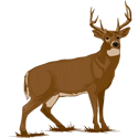 Deer Logo